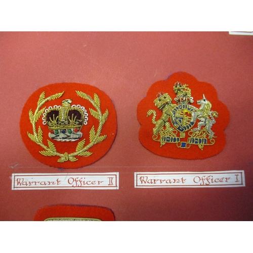 236 - Royal Marines Mess Dress Insignia collection gum attached to board for display with rank badges from... 