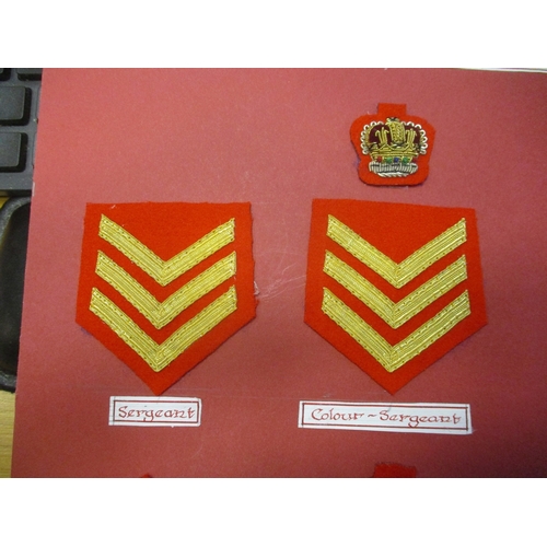 236 - Royal Marines Mess Dress Insignia collection gum attached to board for display with rank badges from... 