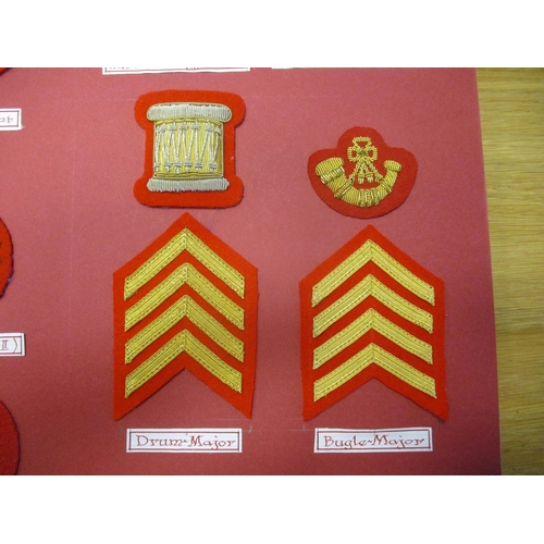 236 - Royal Marines Mess Dress Insignia collection gum attached to board for display with rank badges from... 