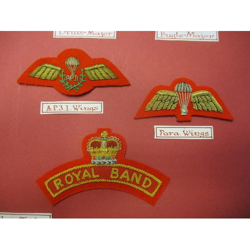 236 - Royal Marines Mess Dress Insignia collection gum attached to board for display with rank badges from... 