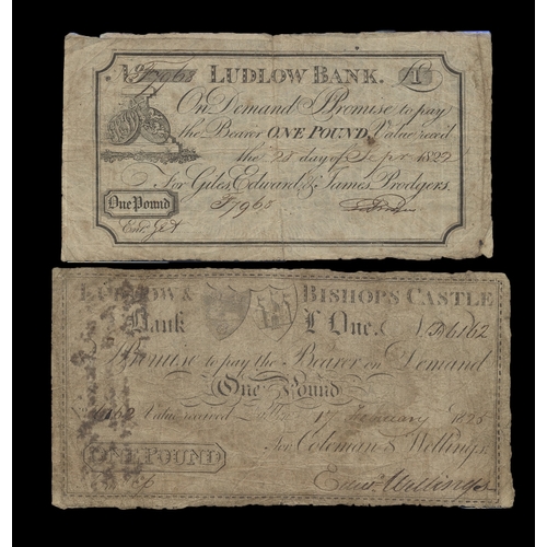 447 - GB local 1800's range generally poor to fair with £5 Leeds Bank unissued 18--, Leighton Buzzard Bank... 