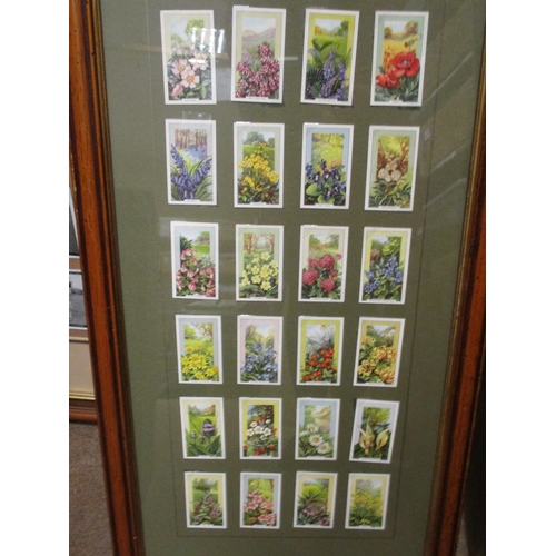 19 - Collection of complete sets in frames with Churchman Famous Golfers, Holed in One, Jovial Golfers, P... 