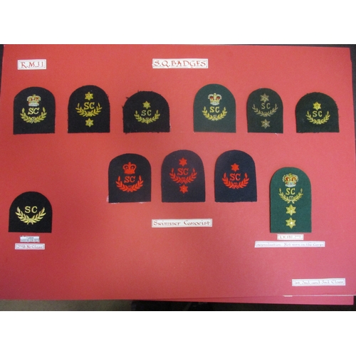 142 - Royal Marines collection of Specialist Qualifications and Trade Qualification sleeve badges mounted ... 