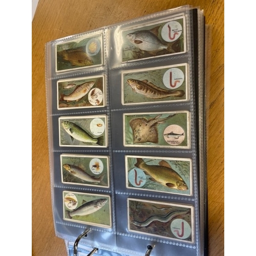 24 - Collection of cigarette and tea cards in 9 albums with part sets and complete sets including Brooke ... 