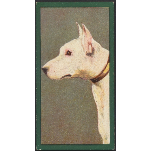 59 - Taddy. Part set in plastic sleeves Dogs generally fair to good. Qty 22 (See photo) (R)