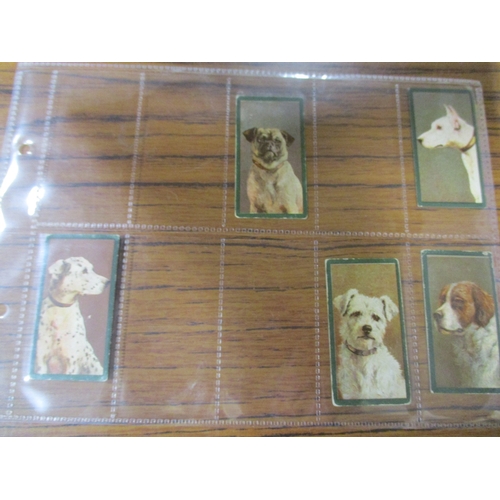 59 - Taddy. Part set in plastic sleeves Dogs generally fair to good. Qty 22 (See photo) (R)