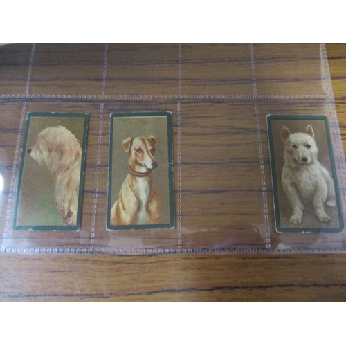 59 - Taddy. Part set in plastic sleeves Dogs generally fair to good. Qty 22 (See photo) (R)