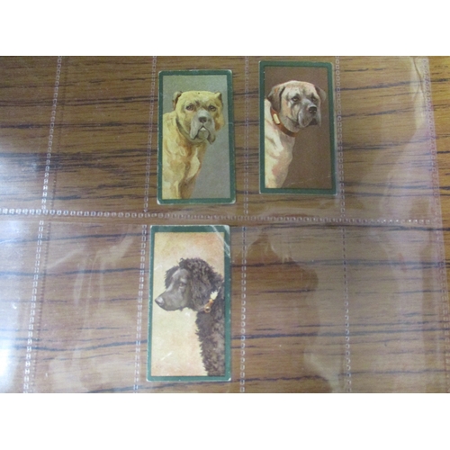 59 - Taddy. Part set in plastic sleeves Dogs generally fair to good. Qty 22 (See photo) (R)