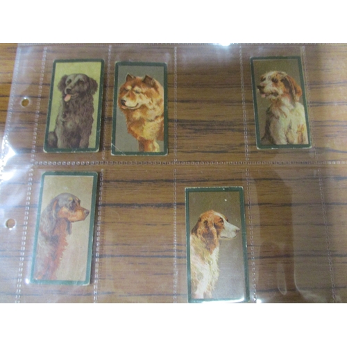 59 - Taddy. Part set in plastic sleeves Dogs generally fair to good. Qty 22 (See photo) (R)