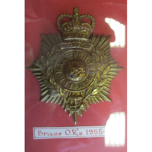 128 - Royal Marine 1905-72 plate and badge collection mounted in large glass frame 82cm x 95cm, includes h... 