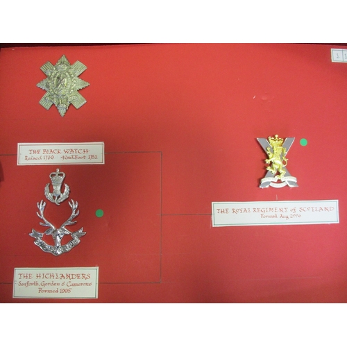 138 - Collection of cap badges (102) mounted on cards with descriptions in lift out trays in purpose built... 