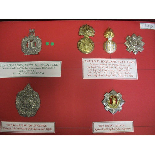 138 - Collection of cap badges (102) mounted on cards with descriptions in lift out trays in purpose built... 