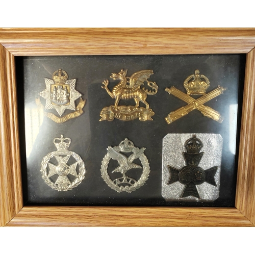 172 - Collection of cap badges in 15 frames from wide range including cavalry range with The Royal Dragoon... 