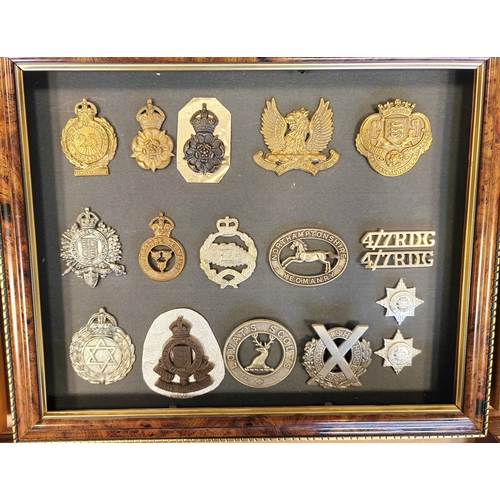 172 - Collection of cap badges in 15 frames from wide range including cavalry range with The Royal Dragoon... 