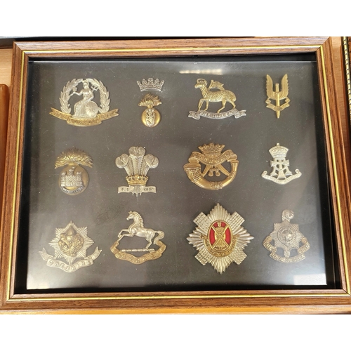 172 - Collection of cap badges in 15 frames from wide range including cavalry range with The Royal Dragoon... 