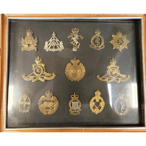 172 - Collection of cap badges in 15 frames from wide range including cavalry range with The Royal Dragoon... 