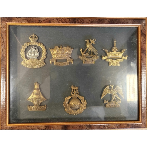 172 - Collection of cap badges in 15 frames from wide range including cavalry range with The Royal Dragoon... 