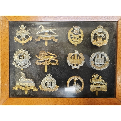 172 - Collection of cap badges in 15 frames from wide range including cavalry range with The Royal Dragoon... 