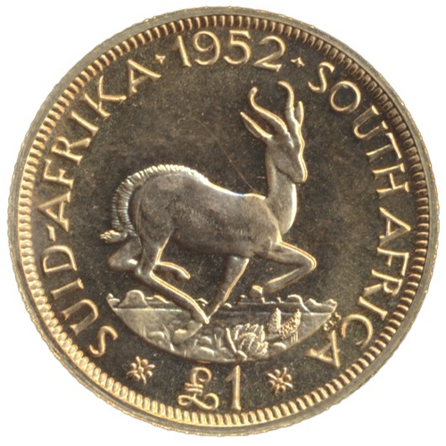 731 - Investment Gold Lot - documents required. South Africa. 1952 £1 extremely fine. (Y)