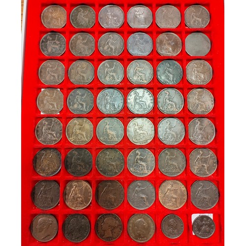 291 - 19th century copper and bronze collection in 3 Lindner trays, generally fine with some better includ... 