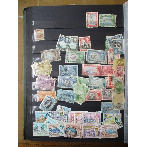 100 - QV-QEII BC M/U untidy coln in 4 stockbooks. Australia and states, British Africa, Ceylon, Straits Se... 