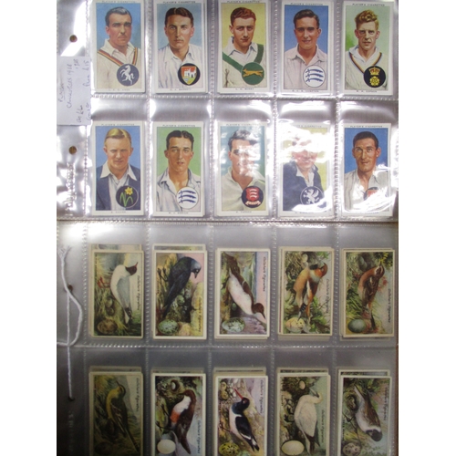 15 - Collection in sleeves with complete sets including Gallaher Birds, Nests & Their Eggs, Ogdens Leader... 