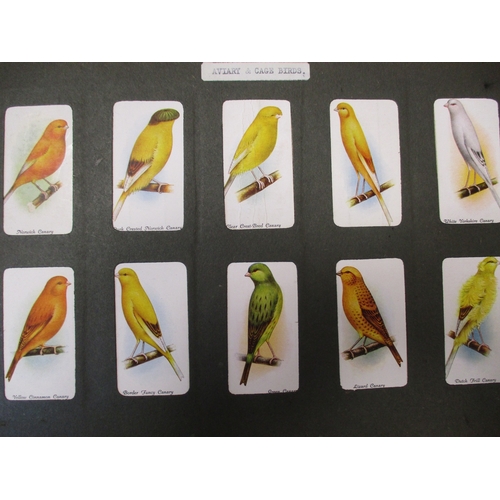 23 - Collection in slot in stock books with complete sets including Gallaher Tropical Birds (1st & 2nd), ... 
