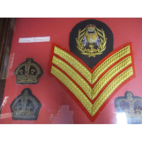 Royal Marines bullion, embroided and printed insignia collection in 3 ...