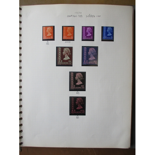 Lot 12        