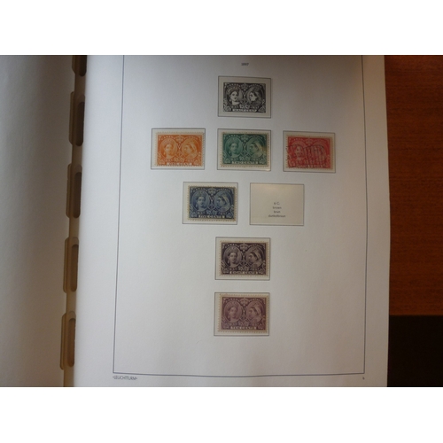 Lot 120       