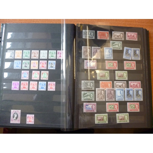 Lot 135       