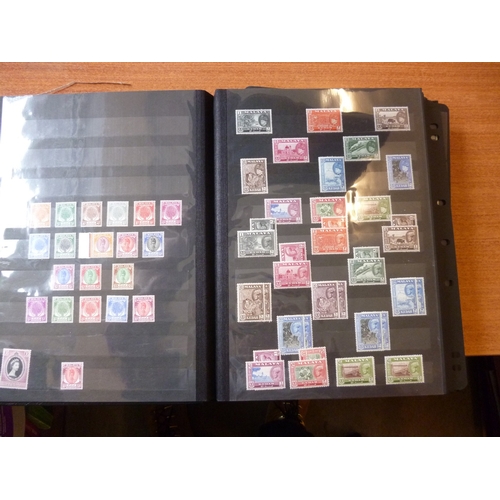 Lot 136       