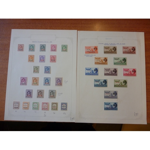 Lot 175       
