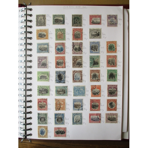 Lot 21        