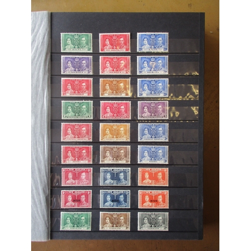 Lot 23        