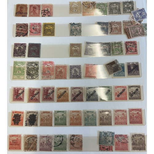 Lot 27        