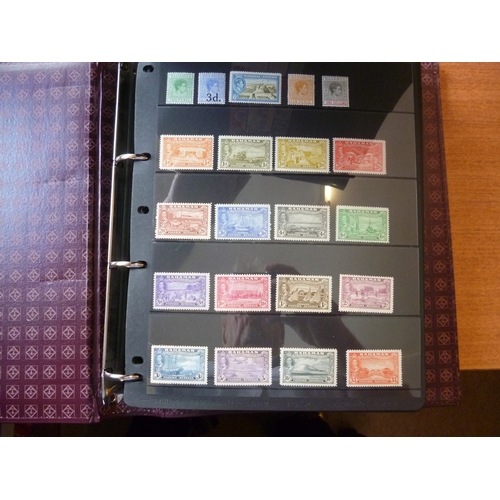 Lot 4         