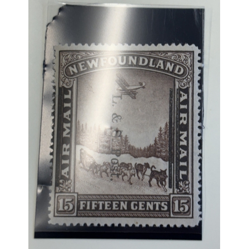 Lot 49        