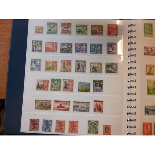 Lot 69        