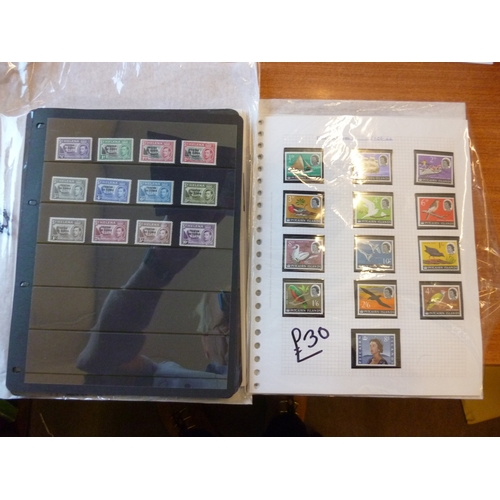 Lot 91        