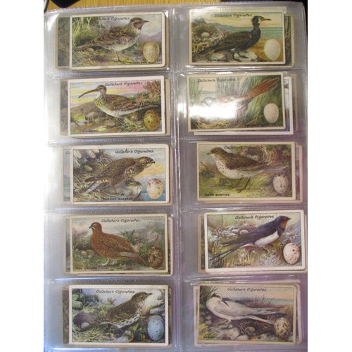 37 - Collection in album with odds including The American Tobacco Co Old Ships (8), Gallaher Birds Nests ... 