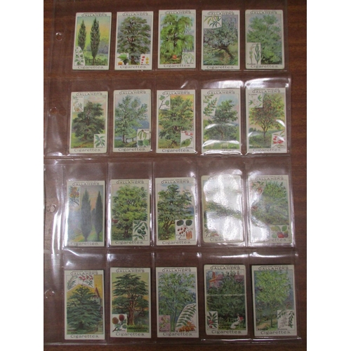 56 - Gallaher. Complete set in plastic sleeves, Woodland Trees, generally good. Cat. £500. (See photo) (R... 