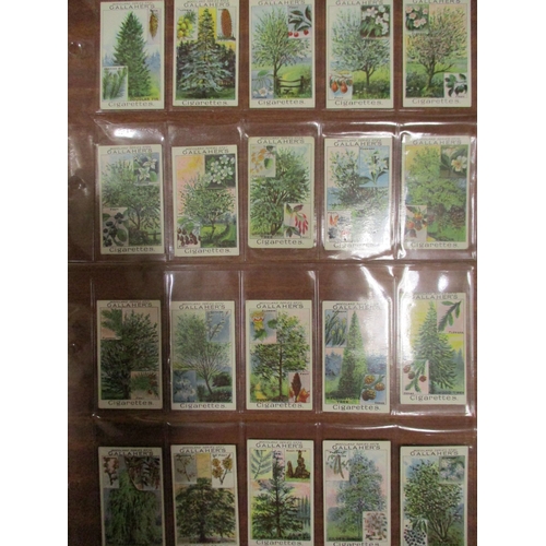 56 - Gallaher. Complete set in plastic sleeves, Woodland Trees, generally good. Cat. £500. (See photo) (R... 