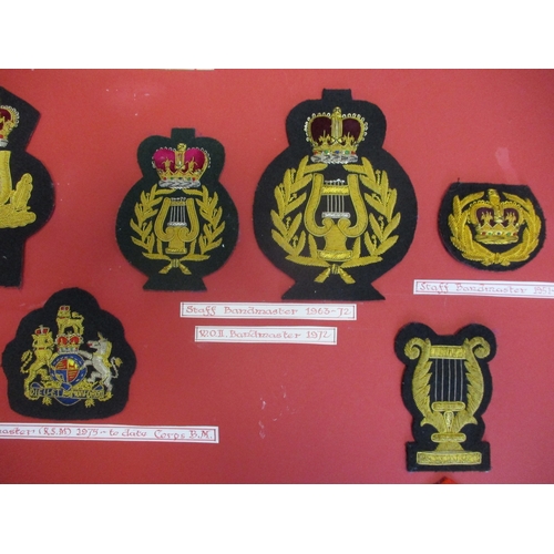 166 - Royal Marines collection of insignia mounted on 6 large cards in carrying case including officer's f... 