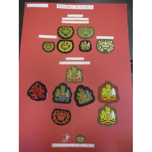 166 - Royal Marines collection of insignia mounted on 6 large cards in carrying case including officer's f... 