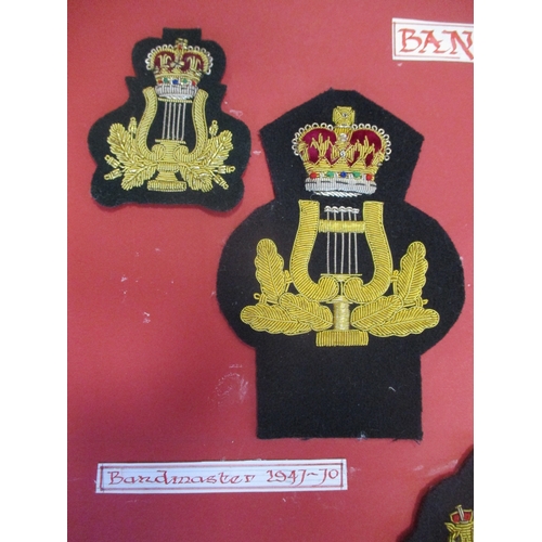 166 - Royal Marines collection of insignia mounted on 6 large cards in carrying case including officer's f... 