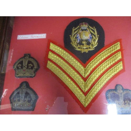 170 - Royal Marines bullion, embroided and printed insignia collection in 3 large frames including Royal Y... 