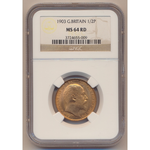 388 - Edward VII range of half pennies in plastic holders with NGC 1902 MS65RB, 1903 MS64RD, 1904 MS64RB, ... 