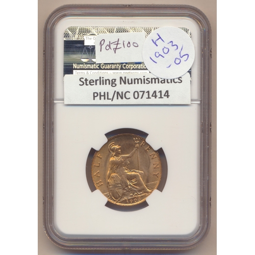 388 - Edward VII range of half pennies in plastic holders with NGC 1902 MS65RB, 1903 MS64RD, 1904 MS64RB, ... 