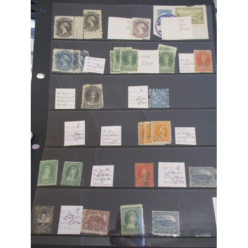 20 - BC, QV-KGVI  mainly U coln in 1 stockbook. With ranges incl Newfoundland, Natal, Rhodesia, Zanzibar,... 